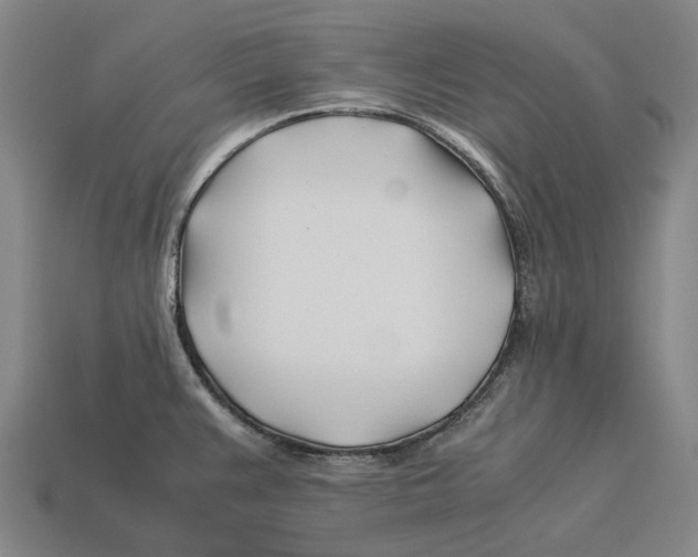 X0000113091383200909251001