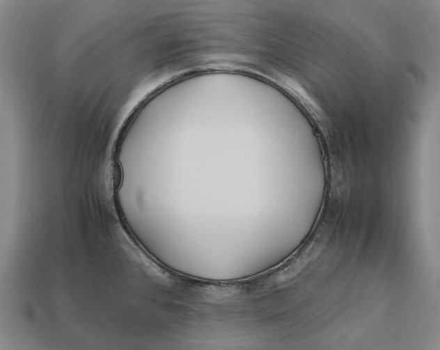 X0000113091384200909251001