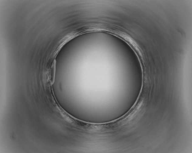 X0000113091385200909251001