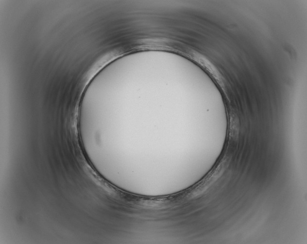 X0000113091386200909251001