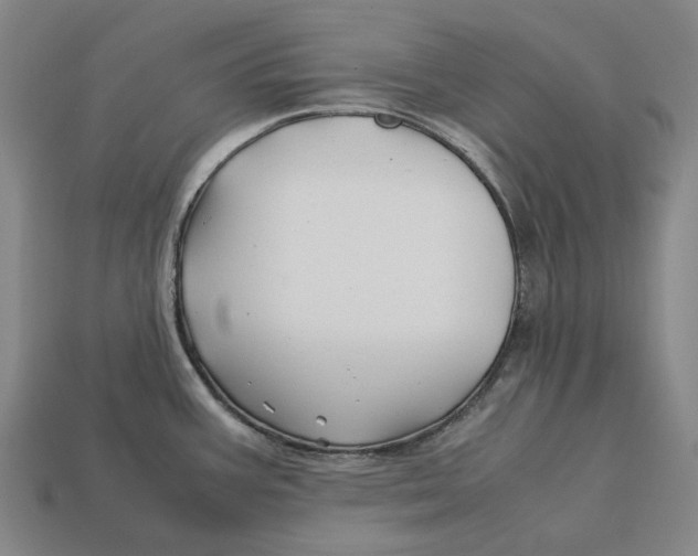 X0000113091387200909251001