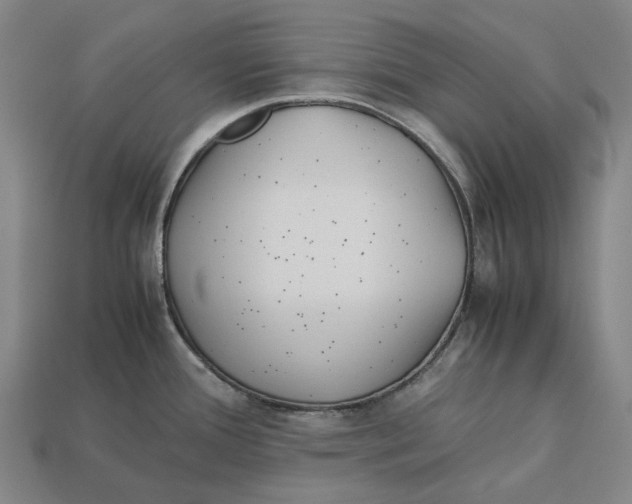 X0000113091388200909251001