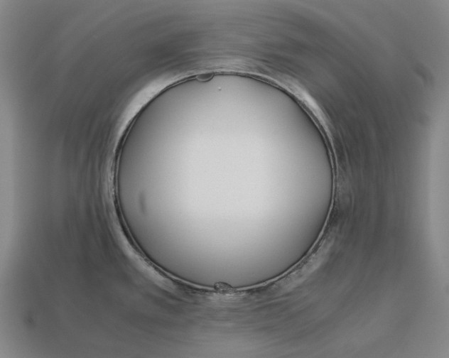 X0000113091389200909251001