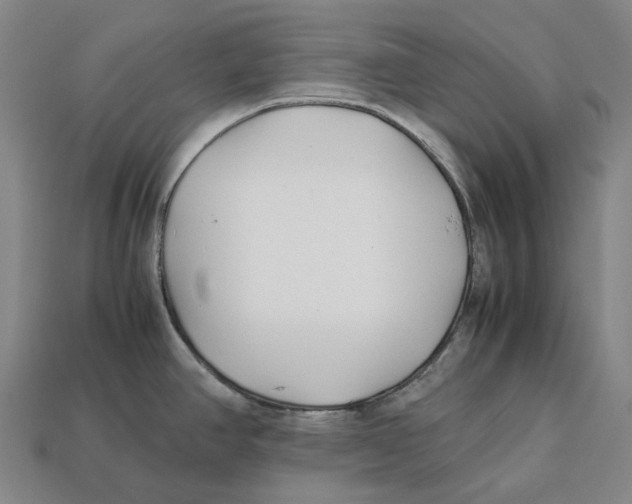 X0000113091390200909251001