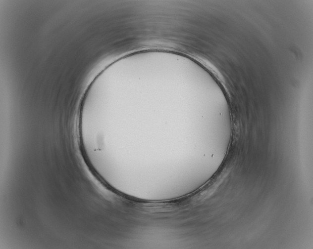 X0000113091391200909251001