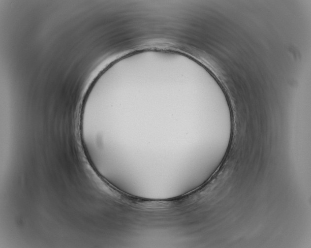 X0000113091392200909251001