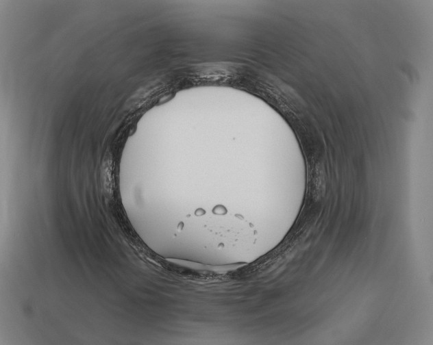 X0000113091394200909251000