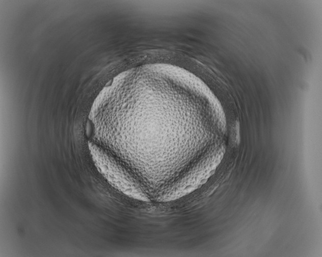 X0000113091395200909251000