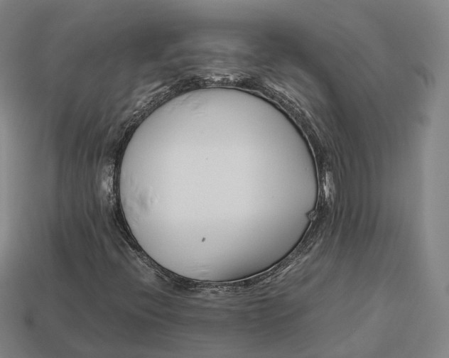 X0000113091396200909251000