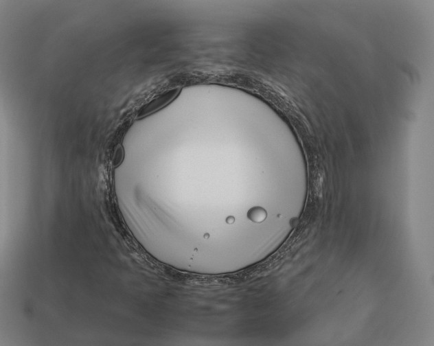 X0000113091397200909251000