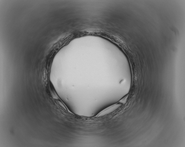 X0000113091398200909251000