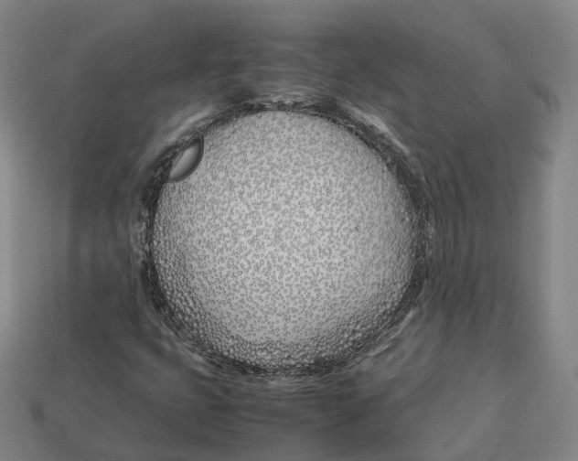 X0000113091399200909251000