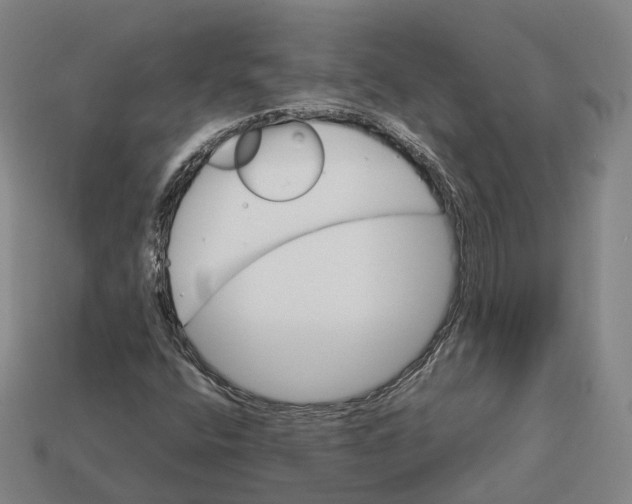 X0000113091400200909251000