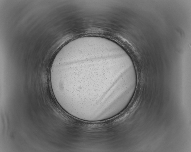 X0000113091401200909251000