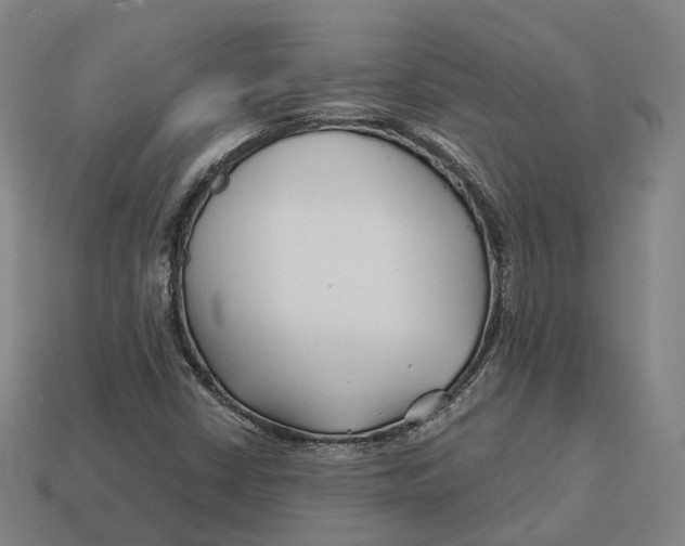 X0000113091402200909251000