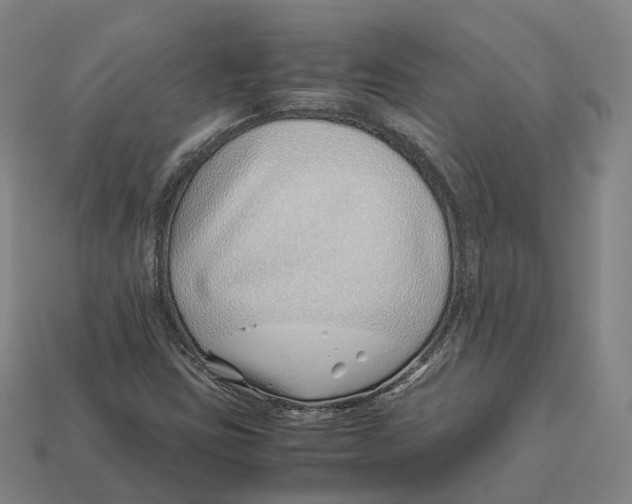 X0000113091403200909251000