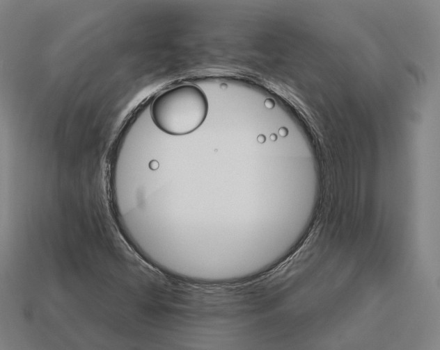 X0000113091404200909251000