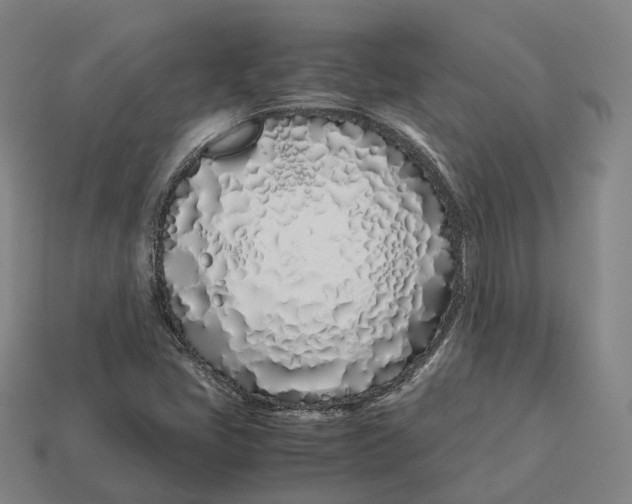 X0000113091405200909251000