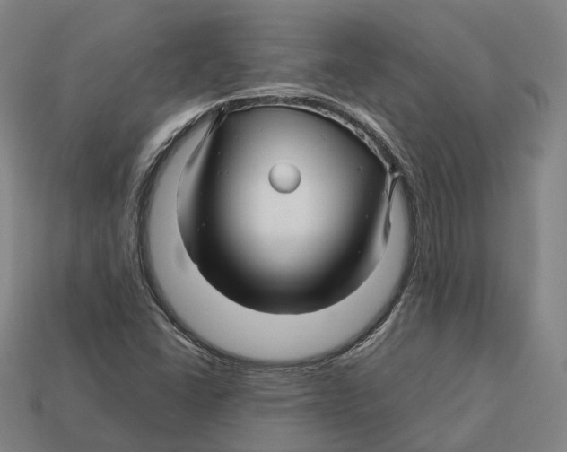 X0000113091406200909251000