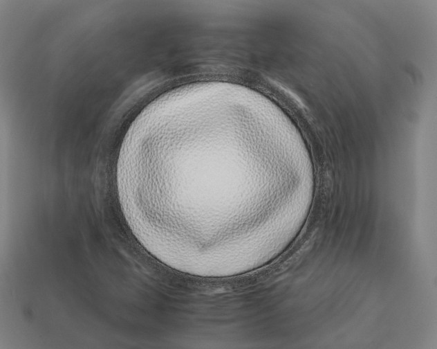 X0000113091407200909251000