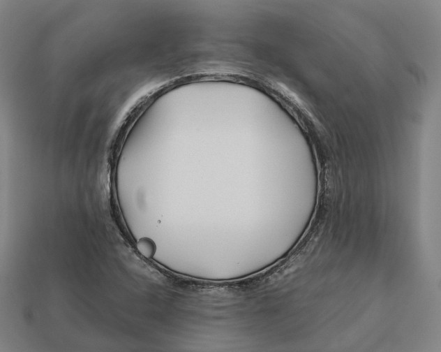 X0000113091408200909251000