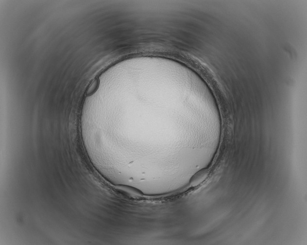 X0000113091409200909251000