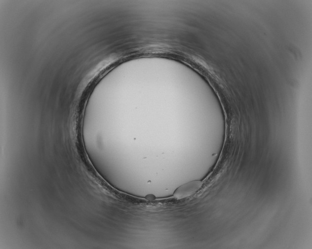 X0000113091410200909251000