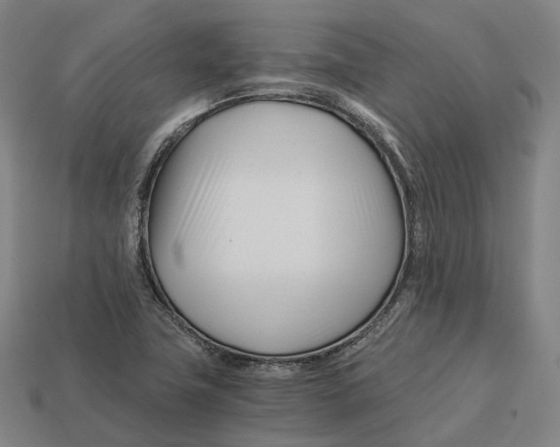 X0000113091411200909251000