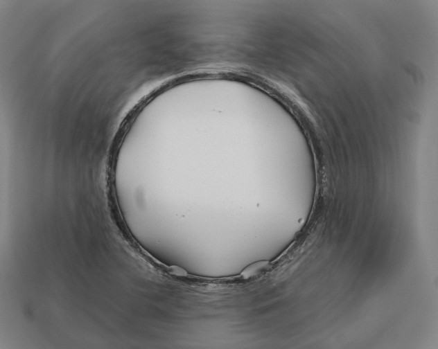 X0000113091412200909251000