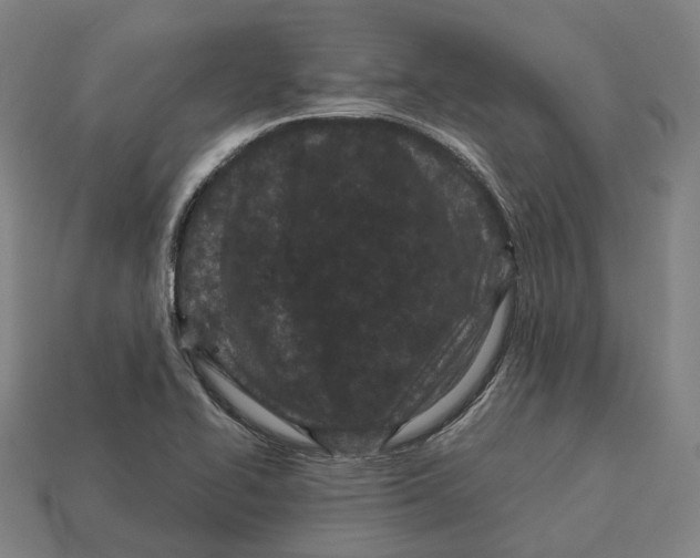 X0000113091414200909251000