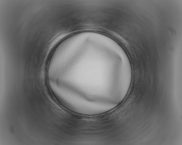 X0000113091415200909251000