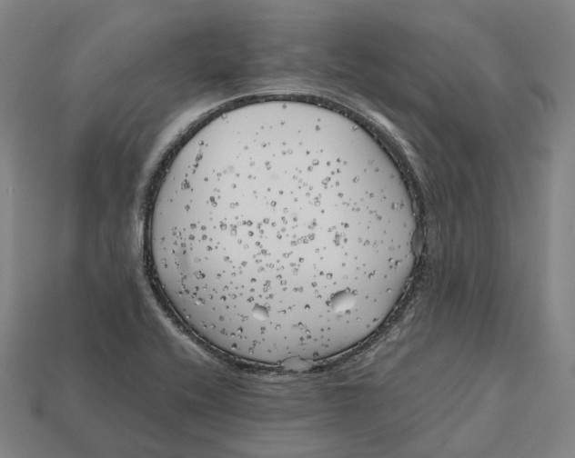 X0000113091416200909251000