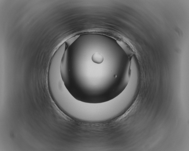 X0000113091417200909251000