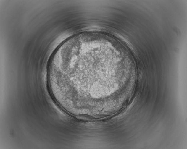 X0000113091418200909251000