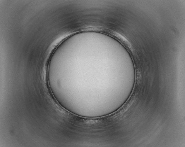 X0000113091419200909251000