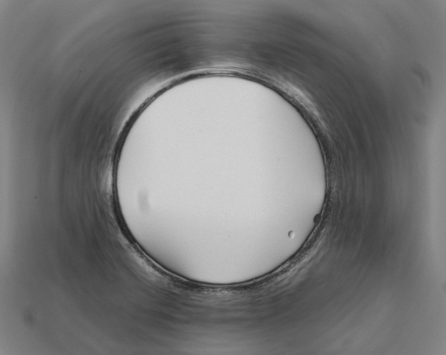 X0000113091420200909251000