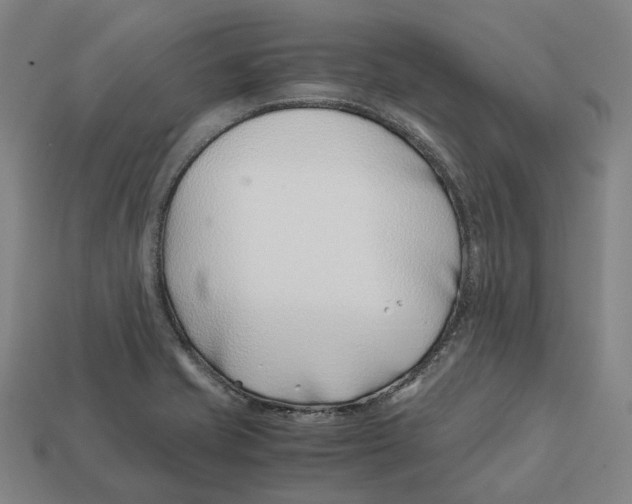 X0000113091421200909251001