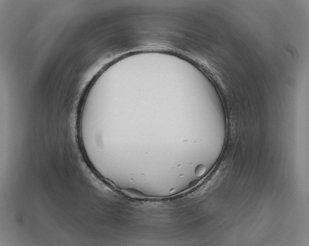 X0000113091422200909251001