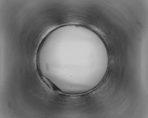 X0000113091423200909251001