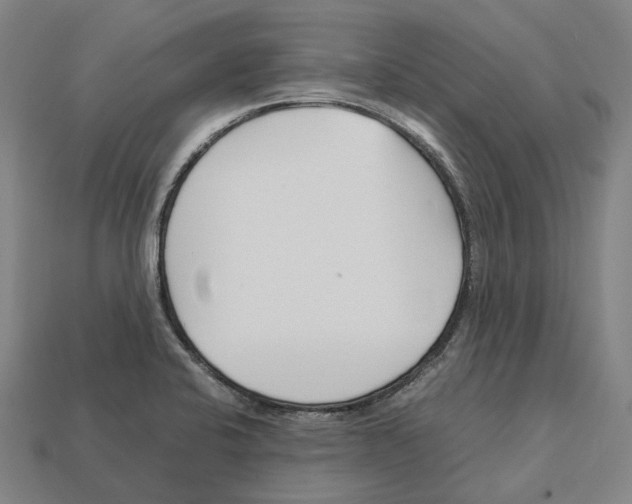 X0000113091424200909251001