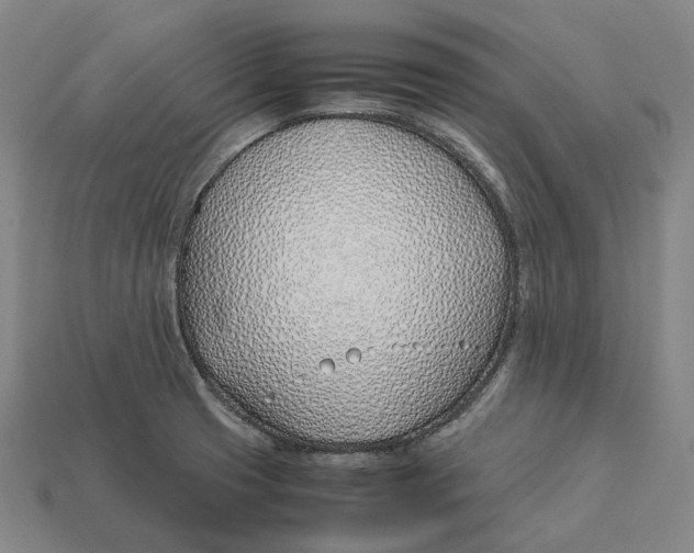 X0000113091425200909251001