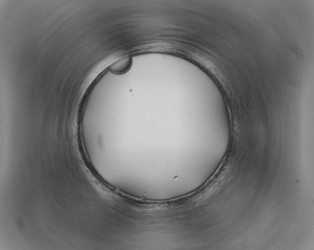 X0000113091426200909251001