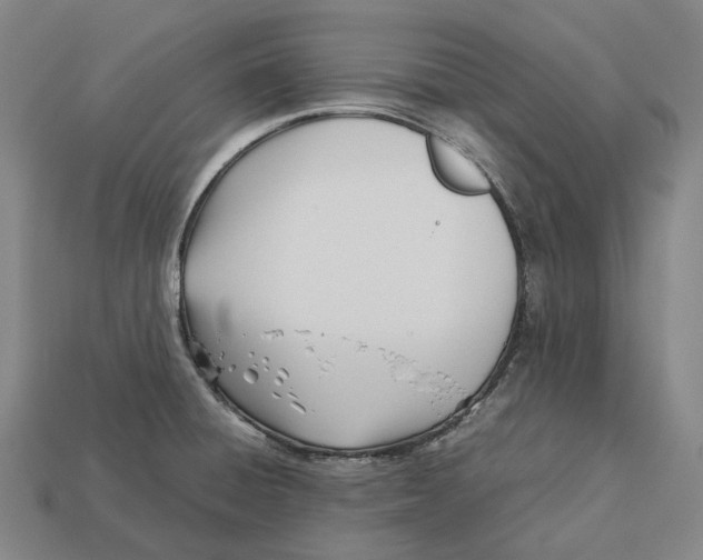 X0000113091428200909251001