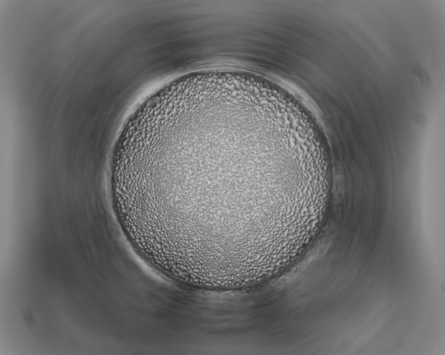 X0000113091429200909251001