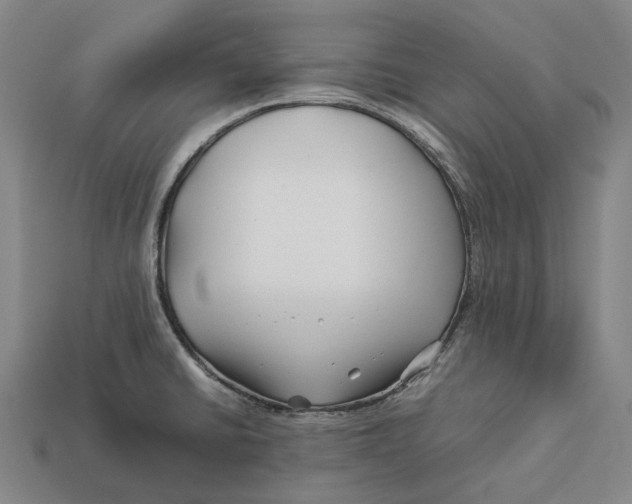 X0000113091430200909251001