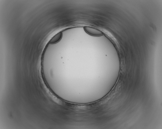 X0000113091431200909251001