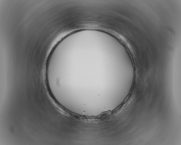 X0000113091432200909251001