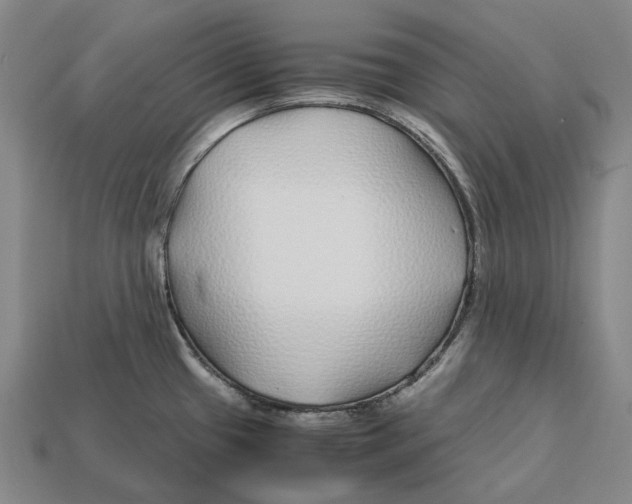 X0000113091433200909251001