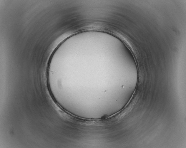 X0000113091434200909251001