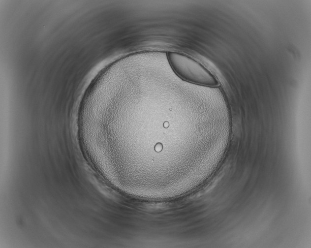 X0000113091435200909251001